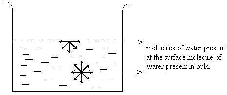 Water molecules experiencing forces from all direction 