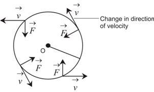 Circular Motion