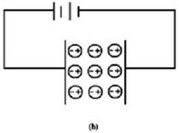 Polar Dielectric